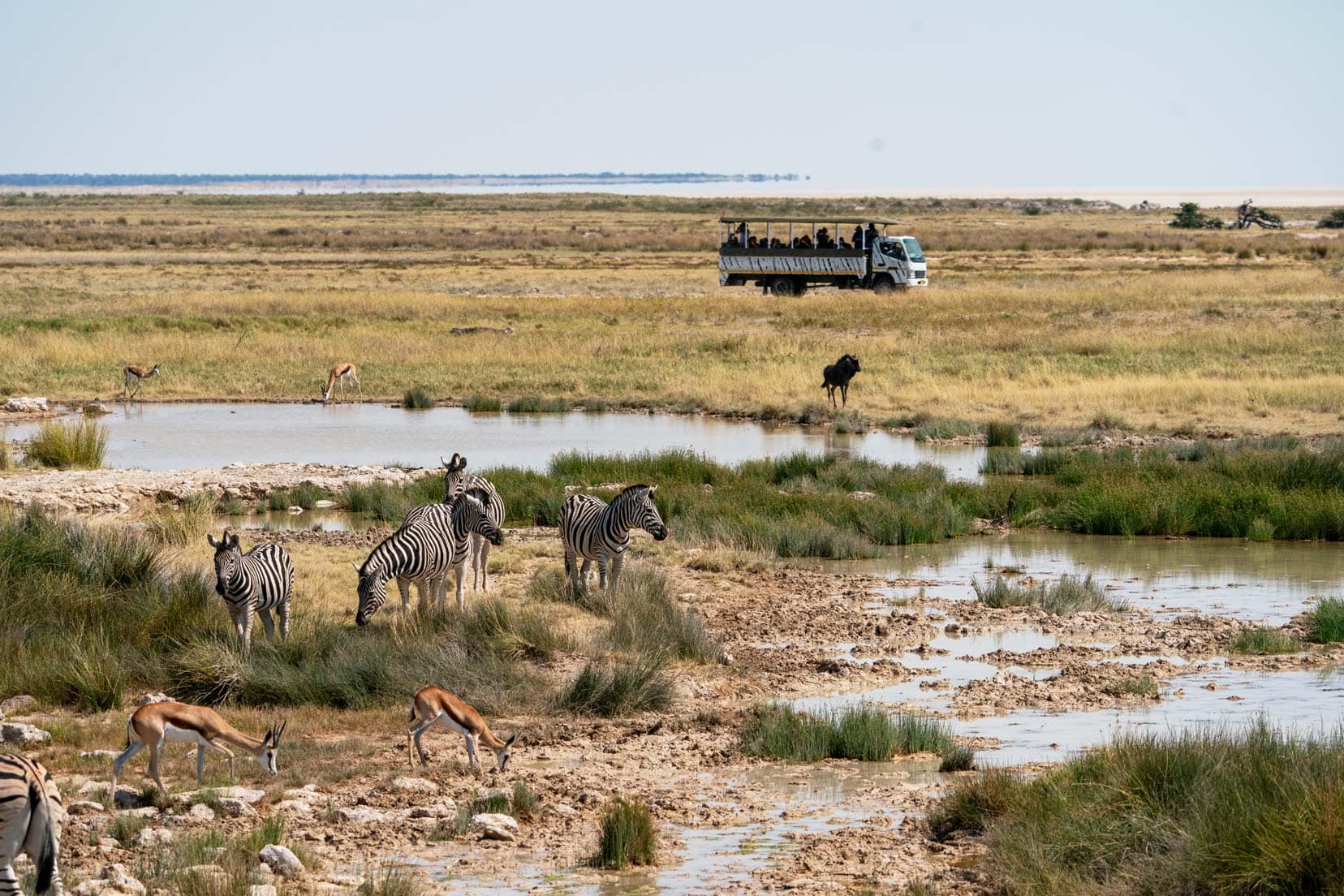 Etosha-Plains-view with a safari vehicle