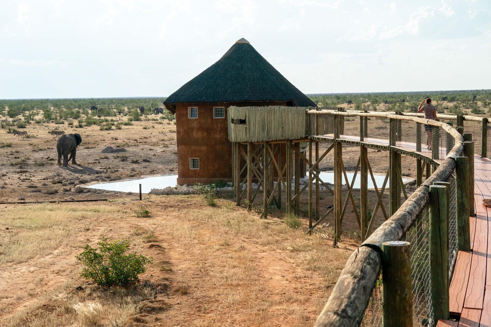 Etosha-Waterhole-and-hide