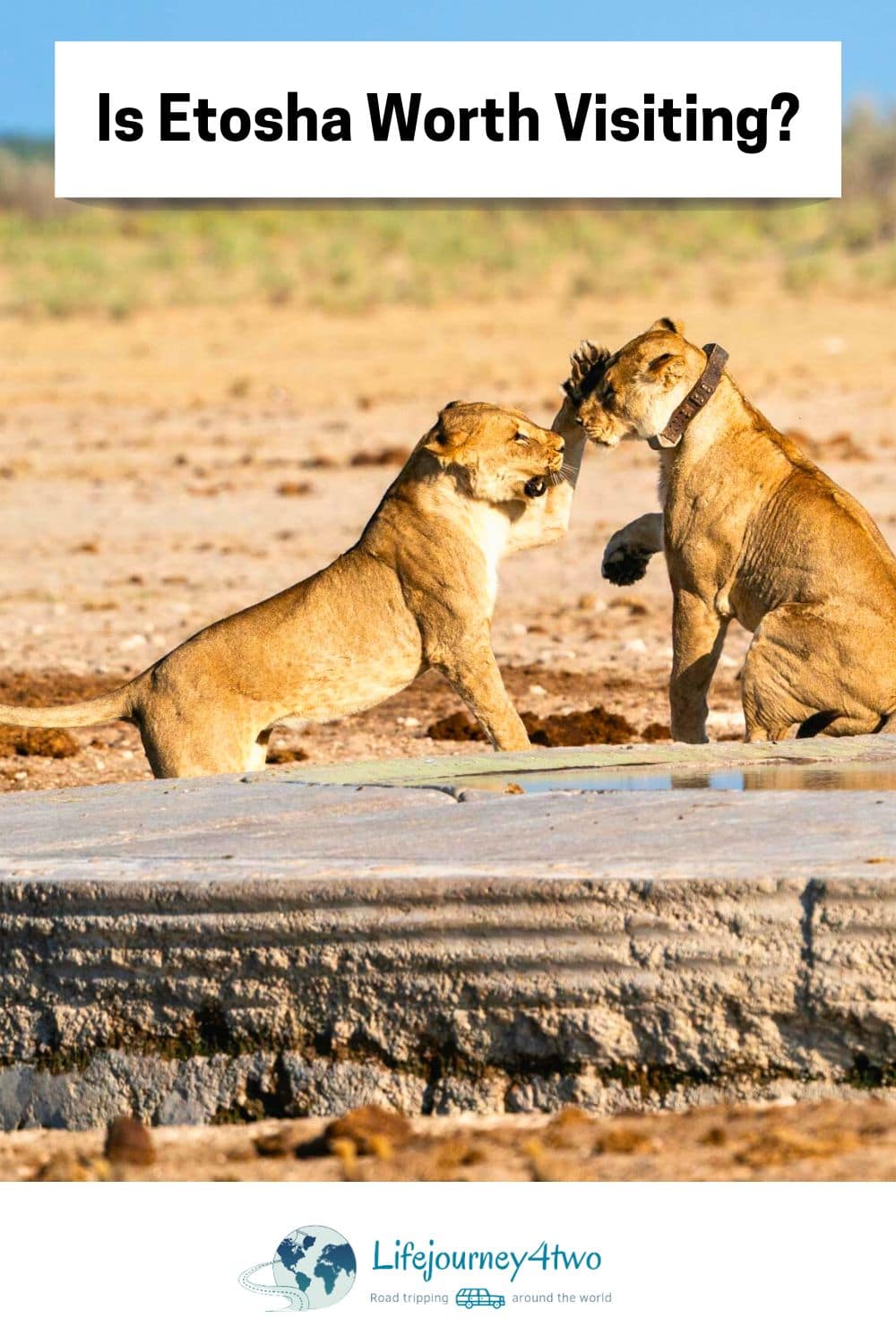 Is Etosha Worth Visiting Pinterest pin